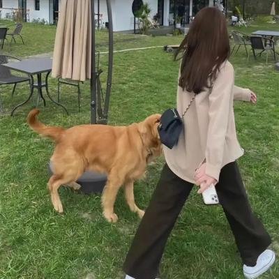 触目惊心2